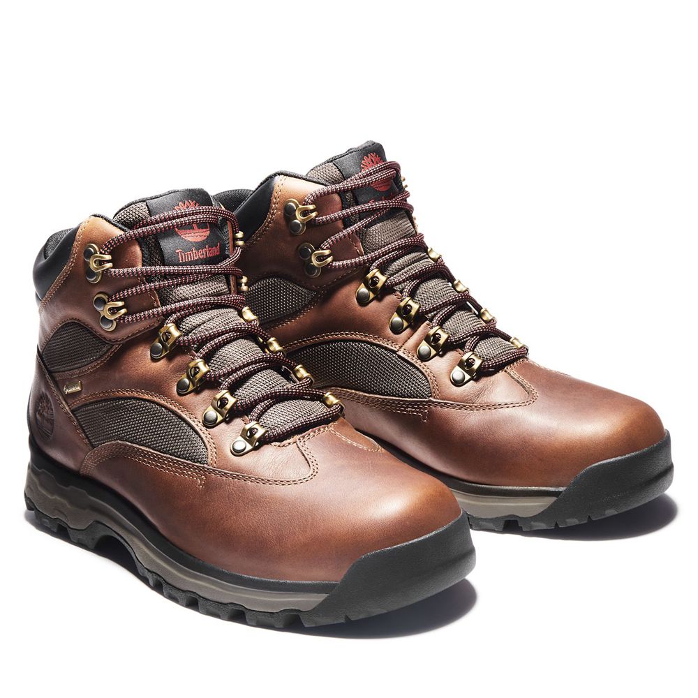 Timberland Mens Hiking Boots Chocorua Trail 2.0 Waterproof - Brown - India FN2758130